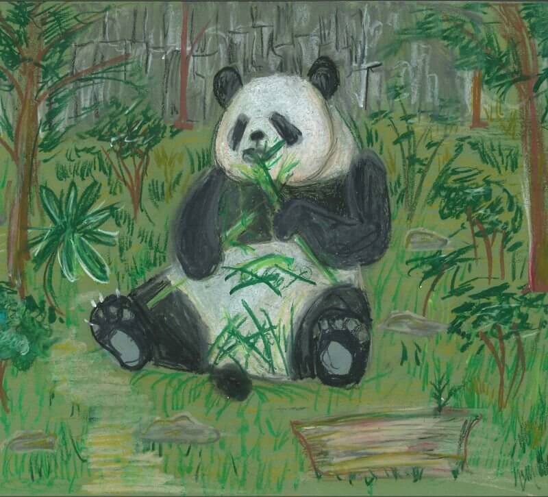 伊利沙伯中學舊生會小學_謝浩龍_HSIEH Ho-lung