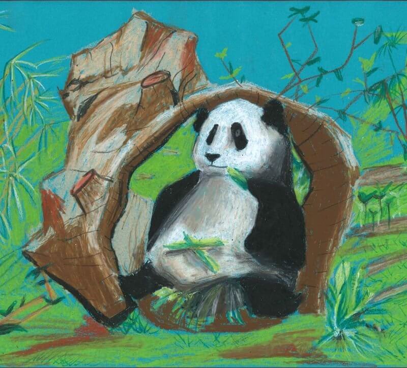 天水圍官立小學_陳思韻_CHAN Sze-wan