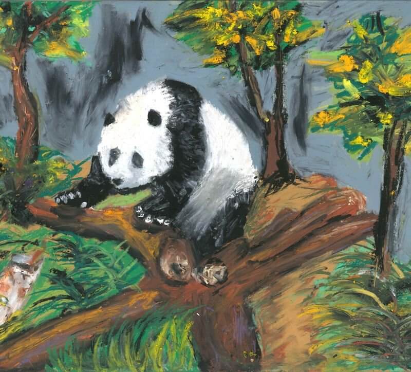 柴灣角天主教小學_鍾曦朗_CHUNG Hei-long