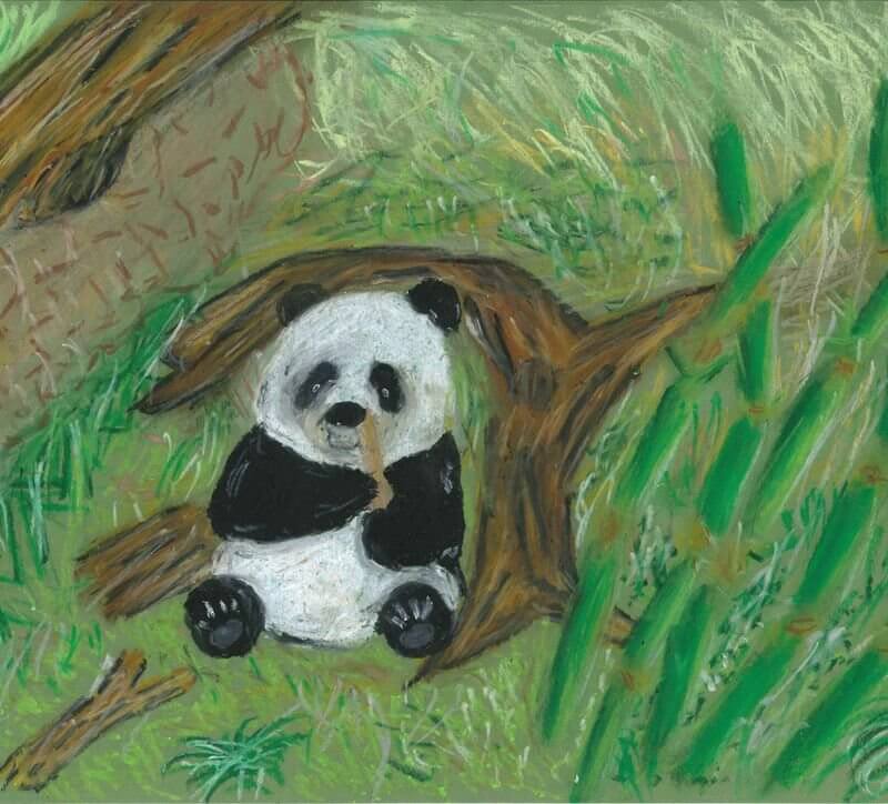 石籬天主教小學_陳昊均_CHAN Ho-kwan