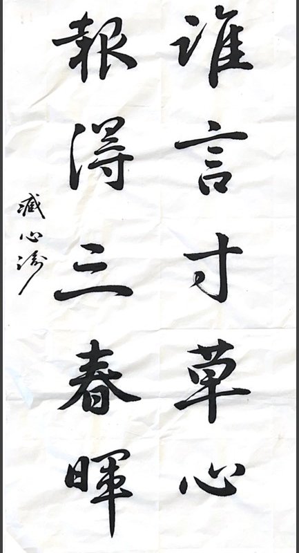 聖公會曾肇添中學_臧心渝_Chong Sum Yu