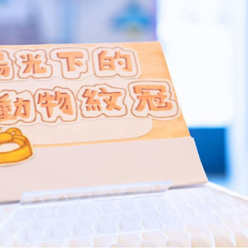寶安商會王少清中學_CHOU Mat_周蜜