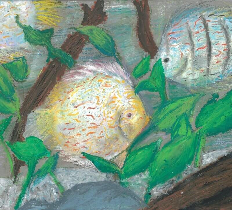 OPA24_8_盧芍妍